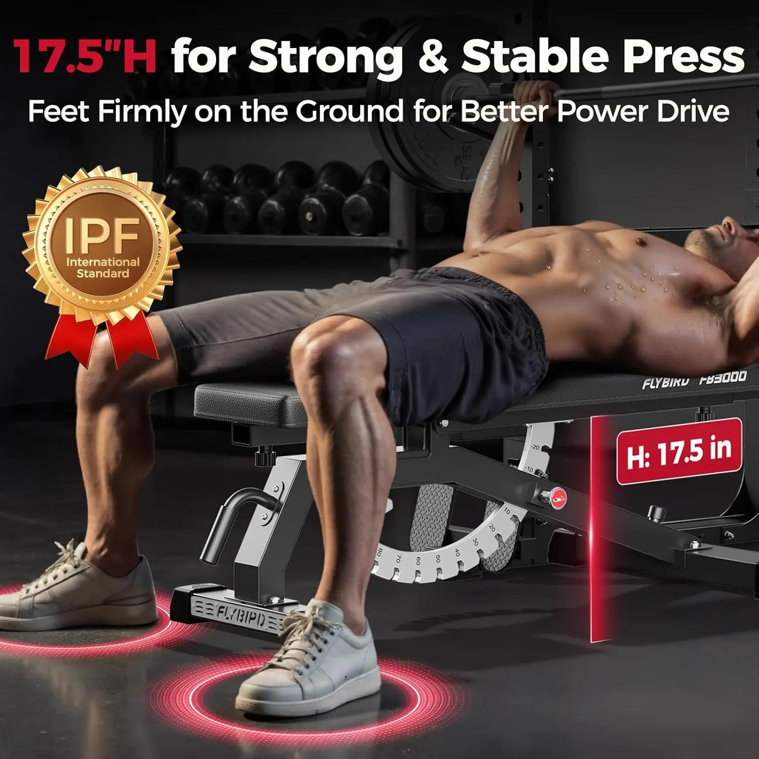 FLYBIRD Adjustable Strength Training Bench for Home Gym - Space-Saving and Foldable Design for Easy Storage